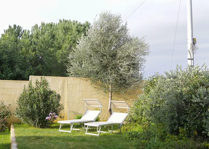 Oda ve Kahvaltı Avion